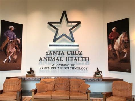 Santa cruz animal health - Santa Cruz Animal Health offers a variety of dewormers for cattle such as Safe Guard, Cydectin, Dectomax, Ivomec, Agri Mectin, Synanthic and Corid. Visit Santa Cruz Biotechnology 1-800-457-3801 